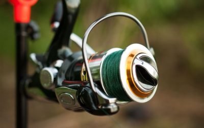 The 3 Best Fishing Knots for Braided Line