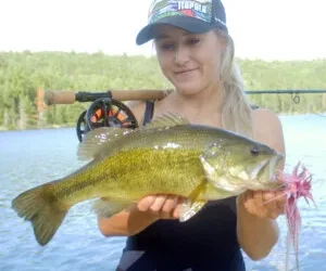 Practise Catch and Release to Preserve Quality Fishing