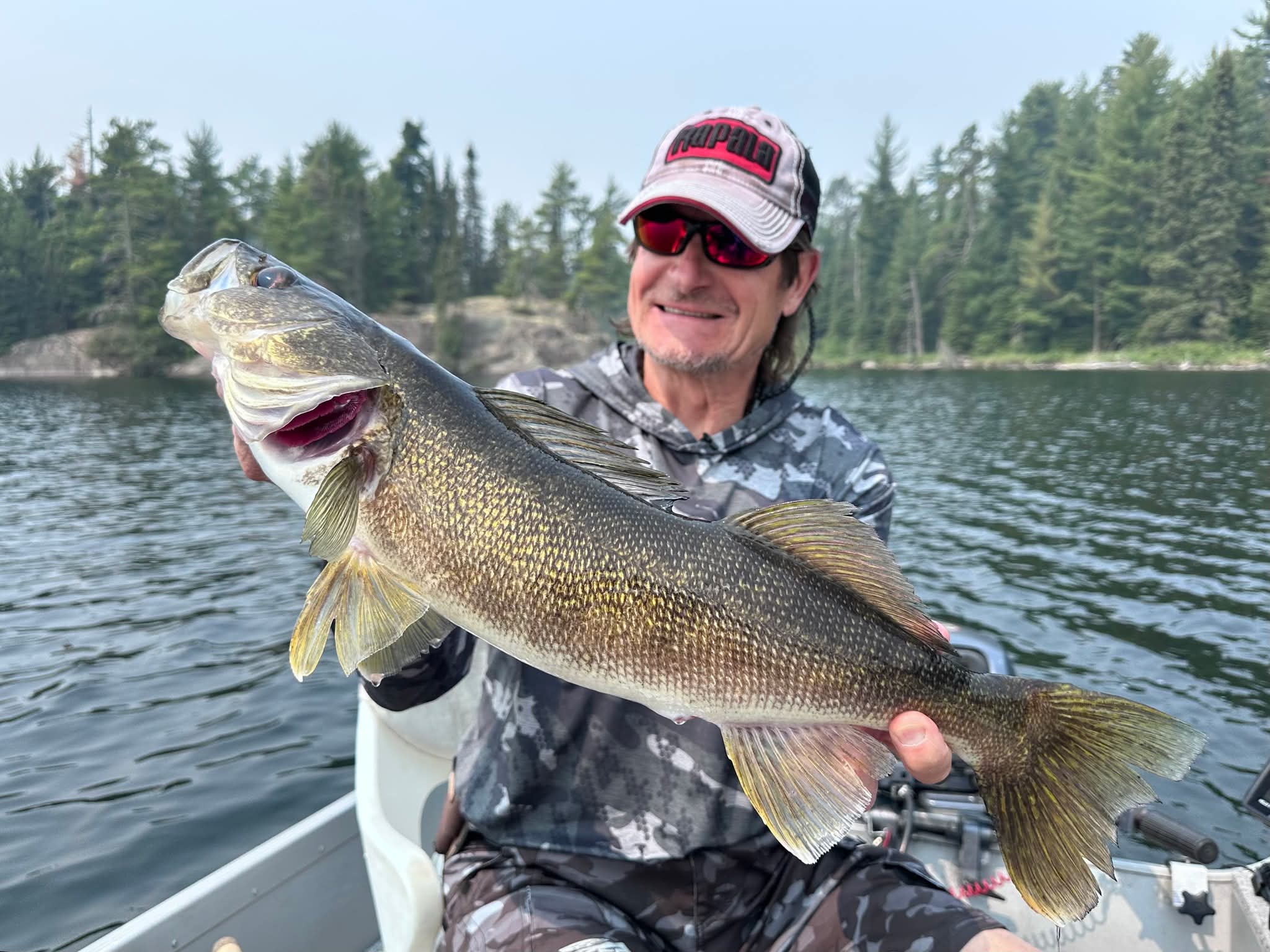nice walleye